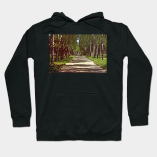 Birch alley Hoodie